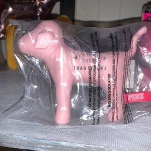 Chalk Rose “My Puppy Is Cuter Than Yours” PINK Dog